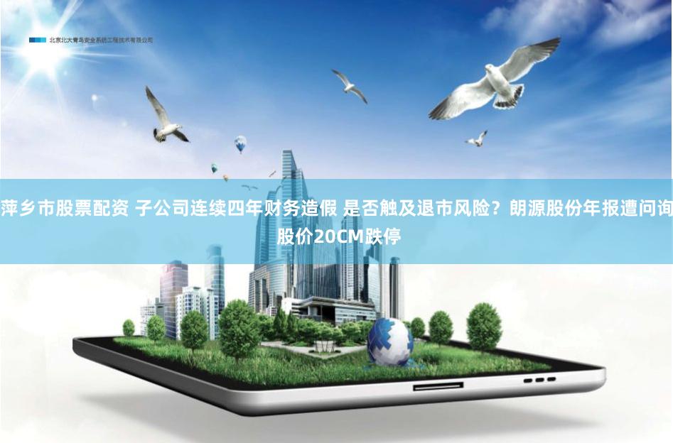 萍乡市股票配资 子公司连续四年财务造假 是否触及退市风险？朗源股份年报遭问询 股价20CM跌停