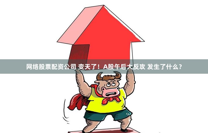 网络股票配资公司 变天了！A股午后大反攻 发生了什么？