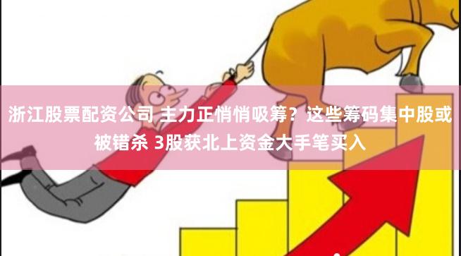 浙江股票配资公司 主力正悄悄吸筹？这些筹码集中股或被错杀 3股获北上资金大手笔买入