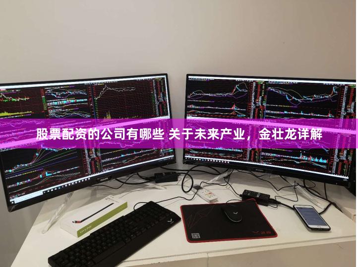 股票配资的公司有哪些 关于未来产业，金壮龙详解