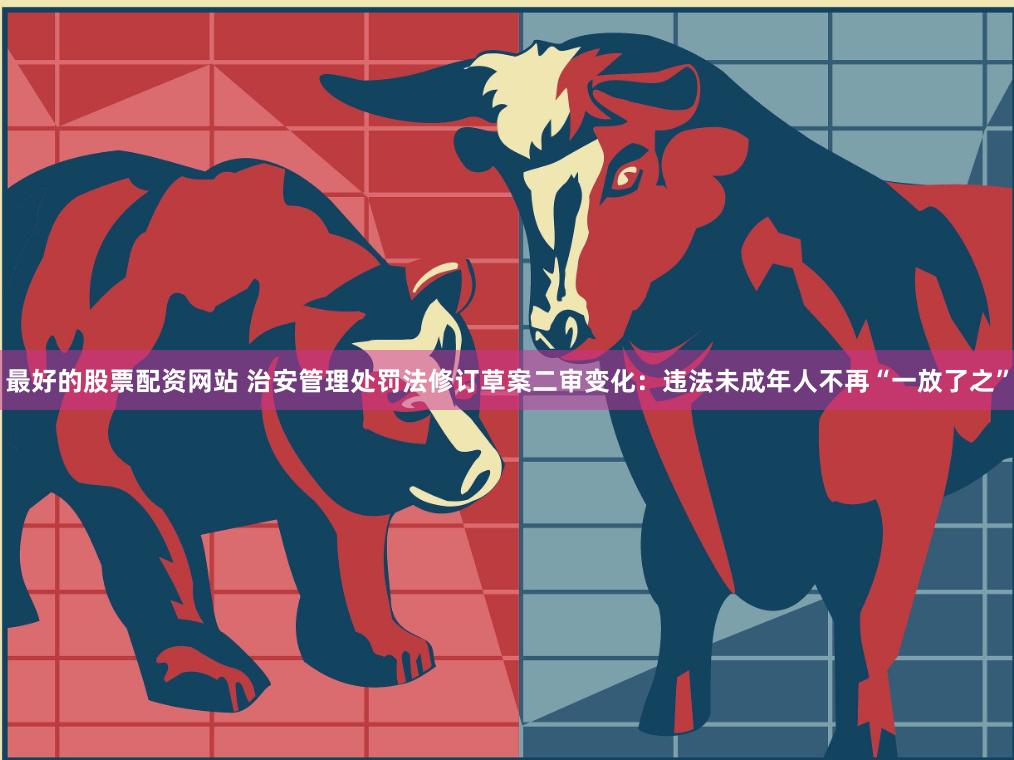 最好的股票配资网站 治安管理处罚法修订草案二审变化：违法未成年人不再“一放了之”