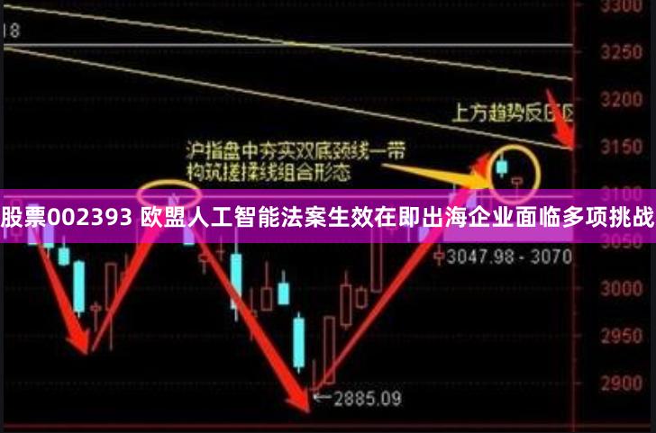 股票002393 欧盟人工智能法案生效在即出海企业面临多项挑战