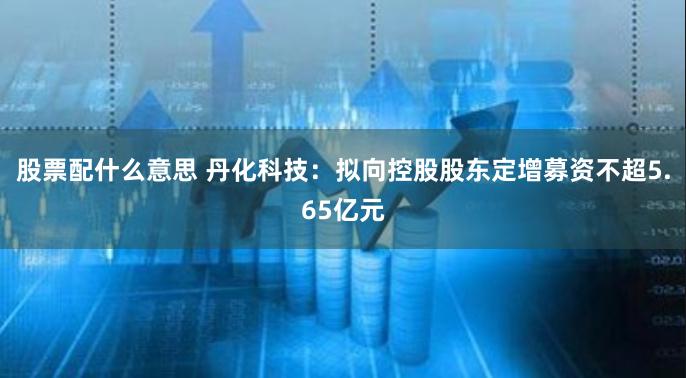股票配什么意思 丹化科技：拟向控股股东定增募资不超5.65亿元