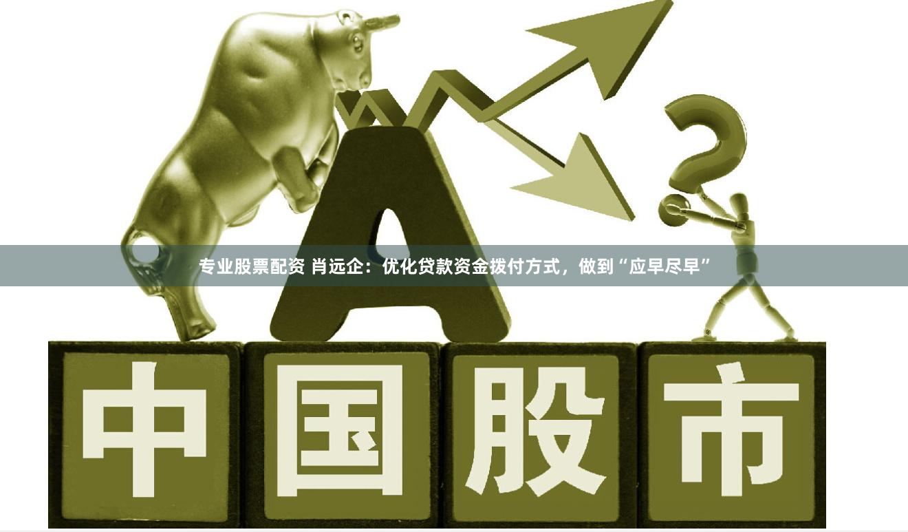专业股票配资 肖远企：优化贷款资金拨付方式，做到“应早尽早”