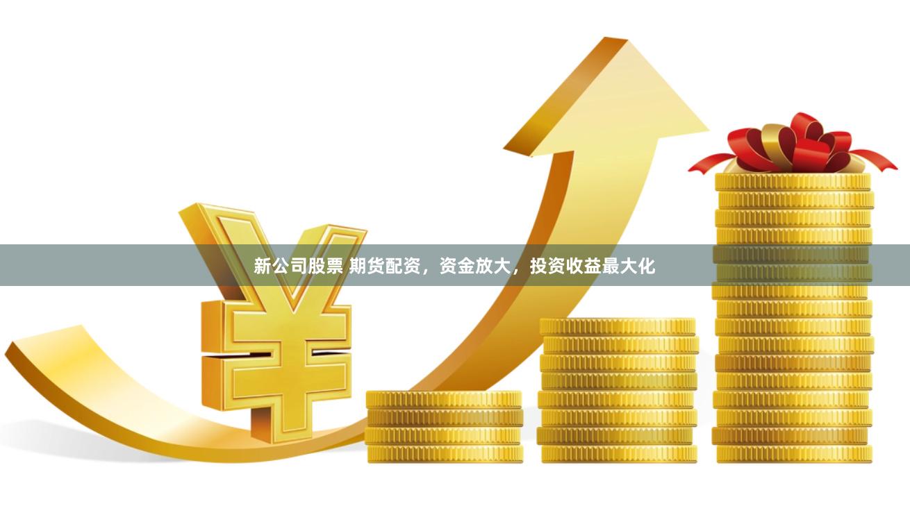 新公司股票 期货配资，资金放大，投资收益最大化