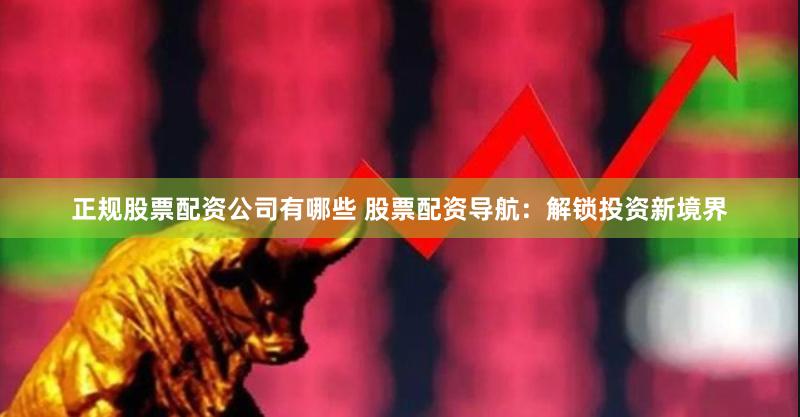正规股票配资公司有哪些 股票配资导航：解锁投资新境界